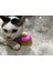 Kırmızı Mavi Evcil Hayvan Oyuncakları Çan Köpekler Için Kedi Eğitimi Interaktif Oyuncak Denilen Akşam Yemeği Küçük Çan Ayak Izi Halka Eğitmen Teddy Için Besleme Hatırlatma (Yurt Dışından) 3