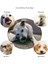 Mavi 5 cm Pet Köpek Oyuncak Interaktif Lastik Toplar Pet Köpek Kedi Yavrusu Çiğneme Oyuncakları Top Diş Çiğneme Oyuncakları Diş Temizleme Gıda Topları Hond Spel (Yurt Dışından) 4