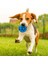 Yeşil Pet Köpek Oyuncak Kedi Yavrusu Pu Elastik Top Diş Temizleme Topu Eğitim Pet Diş Çiğneme Oyuncağı Topları Interaktif Evcil Hayvan Aksesuarları (Yurt Dışından) 4