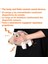 Ördek M Polar Köpek Cızırtılı Oyuncaklar Küçük Büyük Köpekler Için Çiğneme Oyuncakları Hayvan Şekli Köpek Squeaky Oyuncak Evcil Hayvan Ürünleri Için Köpek Squeaker Fransız Bulldog (Yurt Dışından) 3