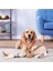 Ördek M Polar Köpek Cızırtılı Oyuncaklar Küçük Büyük Köpekler Için Çiğneme Oyuncakları Hayvan Şekli Köpek Squeaky Oyuncak Evcil Hayvan Ürünleri Için Köpek Squeaker Fransız Bulldog (Yurt Dışından) 5