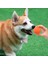Turuncu 7 cm Pet Köpek Oyuncakları Kabarık Top Bite Katı Top Kauçuk Bite Oyuncak Top Açık Fırlatma ve Kurtarma Eğitimi Pet Oyuncaklar Köpek Aksesuarları (Yurt Dışından) 3