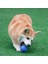 Turuncu 7 cm Pet Köpek Oyuncakları Kabarık Top Bite Katı Top Kauçuk Bite Oyuncak Top Açık Fırlatma ve Kurtarma Eğitimi Pet Oyuncaklar Köpek Aksesuarları (Yurt Dışından) 4