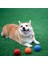 Turuncu 7 cm Pet Köpek Oyuncakları Kabarık Top Bite Katı Top Kauçuk Bite Oyuncak Top Açık Fırlatma ve Kurtarma Eğitimi Pet Oyuncaklar Köpek Aksesuarları (Yurt Dışından) 5
