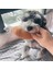 Kemik Baget Resim Olarak Peluş Baget Pet Çiğneme Oyuncakları Köpekler Kediler Için Gotas Squeaker Schnauzer Yavru Köpek Oyuncak Temizleme Dişleri Mascotas Aksesuarları Kemik Yıldızı (Yurt Dışından) 1