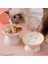 Siyah Su Kasesi Kedi Seramik Kase Yükseltilmiş Küçük Yavru Köpekler Mama Su Besleyiciler Evcil Hayvan Içme Yeme Besleme Malzemeleri Kolay Temiz Omurga Koruması (Yurt Dışından) 2