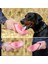 Pembe 550 ml 350/550 ml Pet Köpek Su Şişesi Seyahat Yavru Kedi Suluk Açık Pet Su Sebili Besleyici Küçük Büyük Köpek Için Ev Hayvanı Ürünü (Yurt Dışından) 4