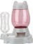 Gri 2 In 1 Köpek Kedi Otomatik Besleyici 528 ml Su Şişesi Su Kaynağı ve Tahıl Evcil Hayvan Besleme Kabı Aksesuarları (Yurt Dışından) 1