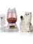 Gri 2 In 1 Köpek Kedi Otomatik Besleyici 528 ml Su Şişesi Su Kaynağı ve Tahıl Evcil Hayvan Besleme Kabı Aksesuarları (Yurt Dışından) 2