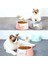 Yeşil Pet Köpek Mama Kaseleri Güzel Ilmek Köpek Besleyici Bulaşık Kase Elmas Desen Yay Kedi Kase Su Tatlı Prenses Pet Besleme Kaseleri (Yurt Dışından) 5