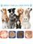 Blue-B S(15X15X0.9CM) Köpek Yavaş Besleyici Yalama Mat Yalama Plakalı Gıda Dağıtıcı, Sıkıntı Kaygısını Azaltıcı;yemek Için Mükemmel, Yoğurt Veya Fıstık Ezmesi Ikramları (Yurt Dışından) 4