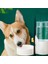 Yeşil A 21X11X22CM Kedi Kafesi Asılı Otomatik Içme Çeşmesi Besleyici Büyük Kapasiteli Yavru Köpek Tavşan Besleme Kase Su Tiryakisi Evcil Hayvan Malzemeleri (Yurt Dışından) 4
