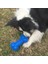 Sarı L-16CM Pet Köpek Oyuncakları Cızırtılı Kauçuk Oyuncaklar Çiğnemek Komik Diken Kemikleri Şekil Tpr Molar Köpekler Için Çiğneme Oyuncakları Interaktif Eğitim Temizleme Dişleri (Yurt Dışından) 3
