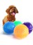 Turuncu S-6.5cm Pet Köpek Kedi Interaktif Oyuncaklar Yavru Sondaj Oyuncak Polka Gıcırtılı Diş Temizleme Topları Tpr Eğitim Pet Diş Çiğneme Oyuncağı Diken Topu (Yurt Dışından) 5