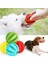 Yeşil L-7cm Pet Köpek Oyuncakları Streç Kauçuk Sızıntı Topu Köpek Komik Interaktif Oyuncak Diş Temizleme Topları Isırmaya Dayanıklı Çiğneme Oyuncakları 5cm/6cm/7cm (Yurt Dışından) 2