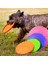 Mavi 18 cm Çapında 2022 Açık Pet Oyuncaklar Yeni Büyük Köpek Uçan Diskler Eğitim Köpek Oyuncak Kauçuk Uçan Disk Getirme 15 cm 18 cm 22 cm (Yurt Dışından) 2