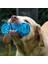 Set 7 Köpek Diş Fırçası Kemik Sağlam Köpek Oyuncak Interaktif Köpek Oyunu Oyuncak Köpek Kemik Kauçuk Dayanıklı Isırmaya Dayanıklı Pet Oyuncak Köpek Çiğneme Oyuncağı (Yurt Dışından) 4