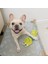 Stil 2 Resim Olarak Isırmaya Dayanıklı Pet Köpek Çiğneme Oyuncak Küçük Orta Köpekler Için Squeak ile Chihuahua Labrador Köpek Temizleme Diş Oyuncakları Evcil Hayvan Malzemeleri (Yurt Dışından) 3
