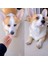 E Yanlış Diş Köpek Komik Protez Pet Dekorasyon Malzemeleri Cadılar Bayramı Cosplay Insanlar ve Vampirler Oyuncaklar Zor Komik Protez (Yurt Dışından) 5