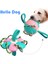 Pembe Mavi Köpek Futbol Topu Interaktif Pet Oyuncaklar Katlanabilir Top Molar Oyuncak Açık Eğitim Topu Yavru Köpek Çiğnemek Köpek Aksesuarları (Yurt Dışından) 2