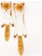 Siyah Kurt L Uzunluk 60 cm 45/60 cm Peluş Pet Köpek Çiğneme Oyuncak Squeaker ile Küçük Orta Köpekler Için Hayvan Şekli Yavru Tilki Wolfdog Sincap Aslan Kaplan Leopar (Yurt Dışından) 5