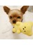 Sarı Köpek Oyuncak Ayı Peluş Çiğneme Oyuncak Köpek Squeaker Cızırtılı Kemik Molar Pet Oyuncaklar Isırmaya Dayanıklı Diş Temizleme Oyuncak Pet Malzemeleri (Yurt Dışından) 5