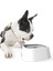 B-Blue Pet Köpek Kedi Kase Yüzen Kase Su Tiryakisi Islak Değil Ağız Sıçrama Suyu Kedi Kase Yağmurlama Değil Su Sebili Taşınabilir Köpek Kasesi (Yurt Dışından) 5