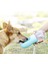 Koyu Mavi 350 ml Pet Köpek Su Şişesi Küçük Orta Büyük Köpek Için Taşınabilir Şişe Sızdırmaz Köpekler Su Şişesi Açık Su Kase Evcil Hayvan Ürünleri (Yurt Dışından) 5