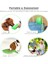 Only Green Şişe 300ML 4'ü 1 Arada Pet Köpek Seyahati 300ML Su 150ML Mama Dağıtıcısı Dış Mekan Ayrılabilir Portatif Kase Kaka Küreği Çöp Torbası Köpek Için Saklama (Yurt Dışından) 3