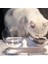 Beyaz Tek Kaymaz Çift Köpek Kase Kedi Kase Standlı Pet Besleme Kedi Su Kasesi Kediler Için Mama Köpekler Için Evcil Hayvan Kaseleri Besleyici Ürün Malzemeleri (Yurt Dışından) 5