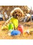 580 Ml-Siyah Taşınabilir Pet Köpek Su Şişesi Yumuşak Silikon Yaprak Tasarım Seyahat Köpek Kase Yavru Kedi Içme Açık Pet Su Şişesi (Yurt Dışından) 5