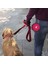 Pembe Gri 350ML 1000ML/350ML Büyük Katlanabilir Köpek Pet Katlanır Silikon Kase Açık Seyahat Taşınabilir Köpek Maması Kabı Besleyici Bulaşık Kase 2 Adet (Yurt Dışından) 3