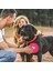 Pembe Gri 350ML 1000ML/350ML Büyük Katlanabilir Köpek Pet Katlanır Silikon Kase Açık Seyahat Taşınabilir Köpek Maması Kabı Besleyici Bulaşık Kase 2 Adet (Yurt Dışından) 4