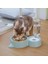 Mavi Yeni 2-In-1 Kedi Kase Su Sebili Otomatik Su Depolama Pet Köpek Kedi Maması Kase Suluk ile Pet Suluk Besleyici (Yurt Dışından) 4