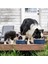 Stil 5 64OZ 32OZ 64OZ Köpek Kase Çift Duvar Kaymaz Paslanmaz Çelik Pet Köpek Maması Besleyici Su Kasesi Orta Büyük Evcil Hayvanlar Için (Yurt Dışından) 3