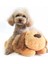 Sevimli Bir Kalp Atışı Köpek Davranış Eğitimi Oyuncak Peluş Evcil Hayvan Rahat Snuggle Uyku (Yurt Dışından) 3