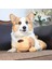 Sevimli Bir Kalp Atışı Köpek Davranış Eğitimi Oyuncak Peluş Evcil Hayvan Rahat Snuggle Uyku (Yurt Dışından) 5