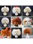 Kahverengi Saç Headmodel Evcil Hayvan Simüle Edilmiş Kafa Saç Sahte Köpek Kafası Modeli Güzellik Uzmanı Uygulama Kesme Köpek Saç Köpek Vücut Peruk Evcil Hayvan Bakım Kırpma Uygulaması (Yurt Dışından) 1