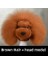 Kahverengi Saç Headmodel Evcil Hayvan Simüle Edilmiş Kafa Saç Sahte Köpek Kafası Modeli Güzellik Uzmanı Uygulama Kesme Köpek Saç Köpek Vücut Peruk Evcil Hayvan Bakım Kırpma Uygulaması (Yurt Dışından) 2