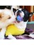 Mor-Mavi M-6cm Pet Köpek Gıcırdayan Oyuncaklar Top Köpek Çiğneme Oyuncakları Ses Saf Doğal Toksik Olmayan Kauçuk Açık Oyun Küçük Büyük Köpek Komik Esneklik Topu (Yurt Dışından) 5