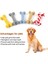 Sarı Kemikler Şekli Köpek Oyuncakları Küçük Büyük Köpekler Için Bite Dayanıklı Diş Çıkarma Temizleme Çiğneme Oyuncak Pamuk Pet Köpek Molar Oyuncaklar Evcil Hayvan Ürünleri (Yurt Dışından) 3