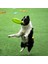 Kırmızı B 180 mm Köpek Oyuncak Özel Eğitim Uçan Diskler Interaktif Yumuşak Isırmaya Dayanıklı Sinek Dairesi Oyuncak Plaka Küçük Büyük Köpekler Için Çiğneme Oyuncak Oyna (Yurt Dışından) 4