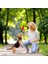 Havuç Evcil Hayvan Oyuncakları Meyve Hayvanlar Karikatür Köpek Oyuncakları Dolması Gıcırdayan Pet Oyuncak Sevimli Peluş Bulmaca Köpekler Için Kedi Çiğnemek Squeaker Cızırtılı Oyuncak (Yurt Dışından) 3