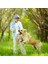1-Yeşil Çap 7 cm Pet Köpek Oyuncak Küçük Büyük Köpekler Için Interaktif Lastik Toplar Yavru Kedi Çiğneme Oyuncakları Yıkılmaz Köpek Maması Topu Pet Diş Temizleme (Yurt Dışından) 5