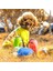 Yeşil 680 ml Taşınabilir Pet Köpek Su Şişesi Yumuşak Silikon Yaprak Tasarım Seyahat Köpek Kase Yavru Kedi Içme Açık Pet Su Sebili (Yurt Dışından) 3