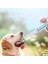 Yeşil Pet Ilaç Besleyici Böcek Kovucu Ürünler Hapları Tutabilir Kedi ve Köpek Evrensel Pet Şırınga Basın Pet Malzemeleri Aksesuarları (Yurt Dışından) 2