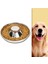 Gümüş L Pet Paslanmaz Çelik Köpek Kase Köpek Kumu Mama Besleme Tabağı Sütten Kesme Silverstainless Besleyici Su Kasesi Evcil Hayvan Besleyici Kase ve Su (Yurt Dışından) 2