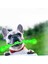 Yeşil 19 cm Pet Köpek Eğitim Interaktif Oyuncak Pet Komik Molar Sopa Güçlü Kauçuk Dayanıklı Dişler Temiz Oyuncak Uzun Boy Çiğnemek Oyuncak Orta Büyük (Yurt Dışından) 5