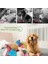 Yeşil Yıldız Sevimli Peluş Köpek Oyuncakları Dolması Gıcırtılı Oyuncaklar Güzel Evcil Köpek Yavrusu Kedi Çekme Çiğneme Vak Ses Oyuncak Peluche Köpekler Interaktif Malzemeler (Yurt Dışından) 5