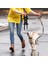 Turuncu Evcil Hayvan Peluş Oyuncaklar Gıcırtılı Hayvan Sızdıran Mama Besleyici Oyuncak Köpek Çiğnemek Cızırtılı Islık Sesi Dahil Interaktif Köpek Oyuncakları Evcil Hayvan Aksesuarları (Yurt Dışından) 5